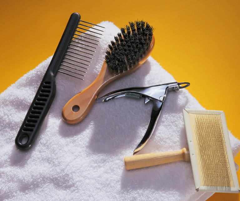 Imagem - Utensílios para banho e tosa - Dog&Cat - Dogue e Caty